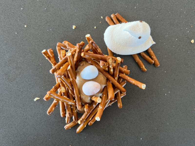 pretzel nest
