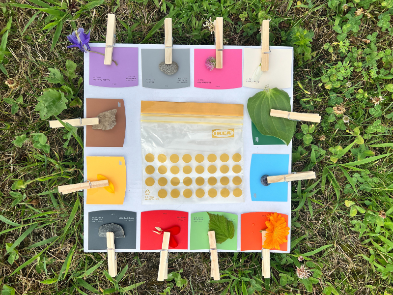 color scavenger hunt