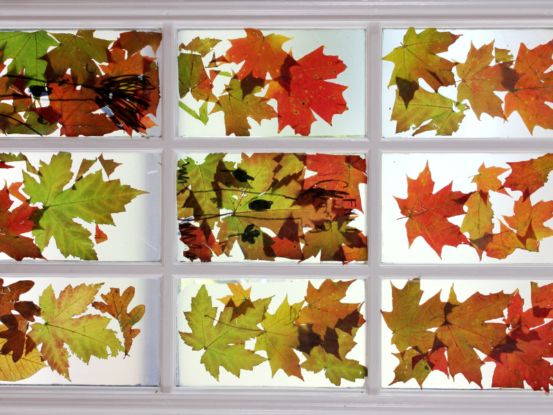 stained glass leaves