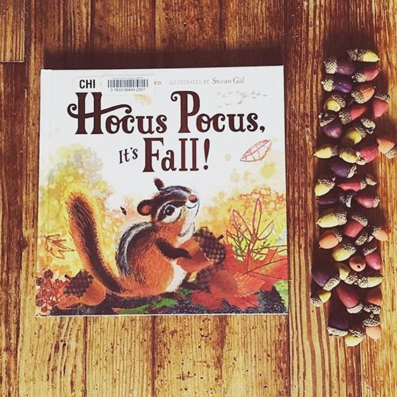 fall book and acorns