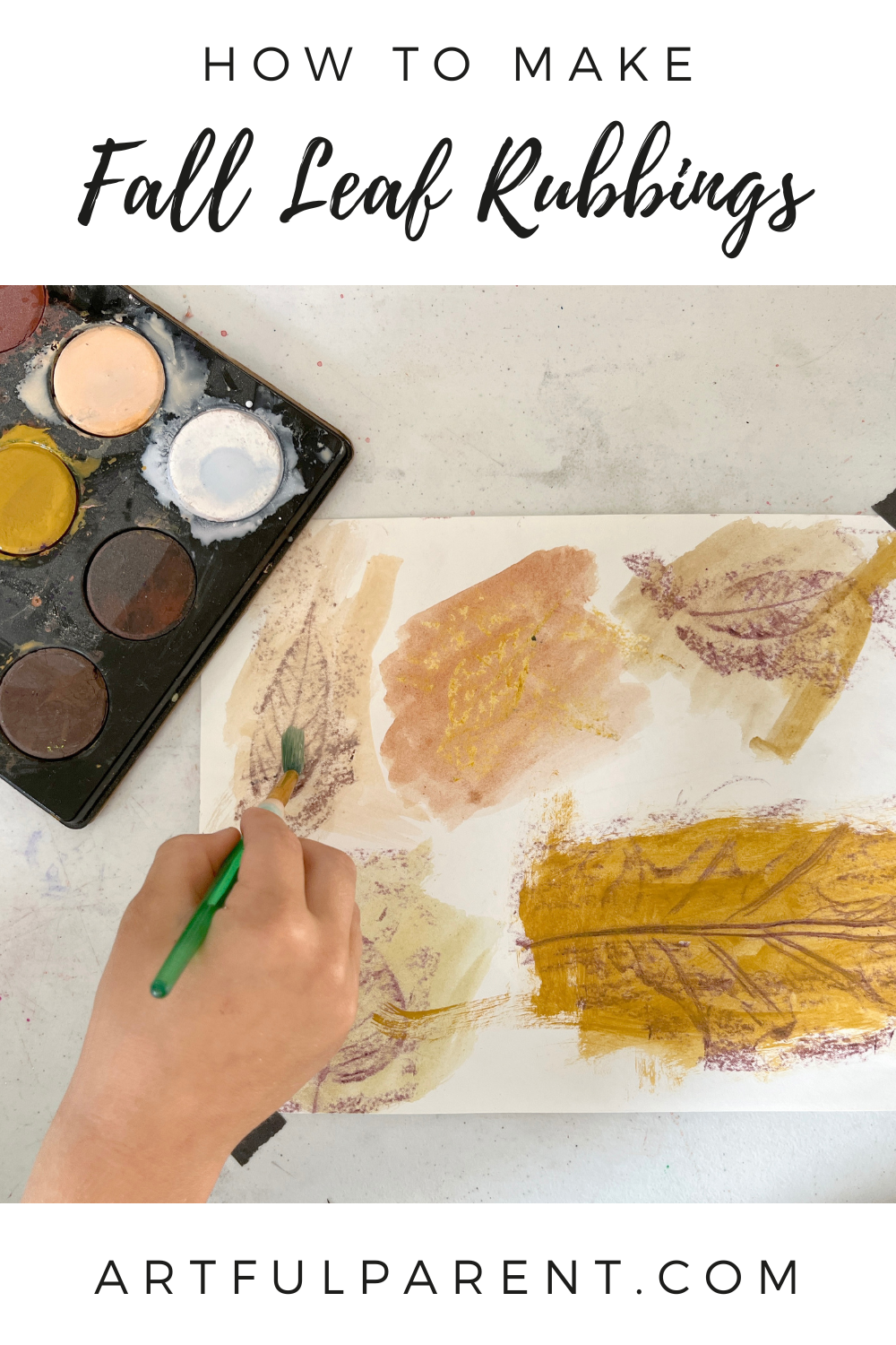 leaf rubbings pinterest