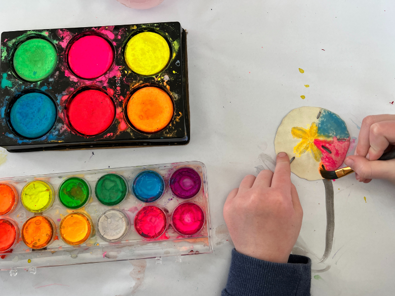 painting shells