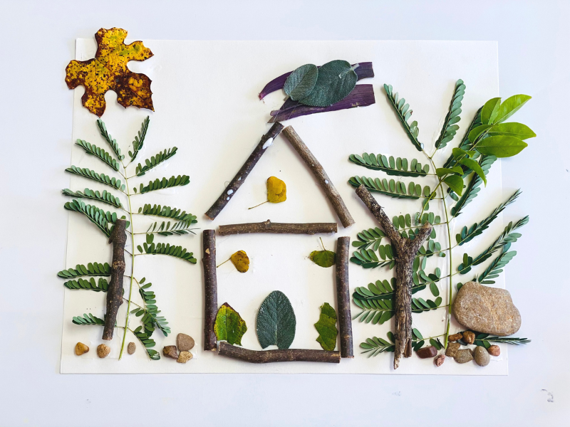 nature landscape collage by figment
