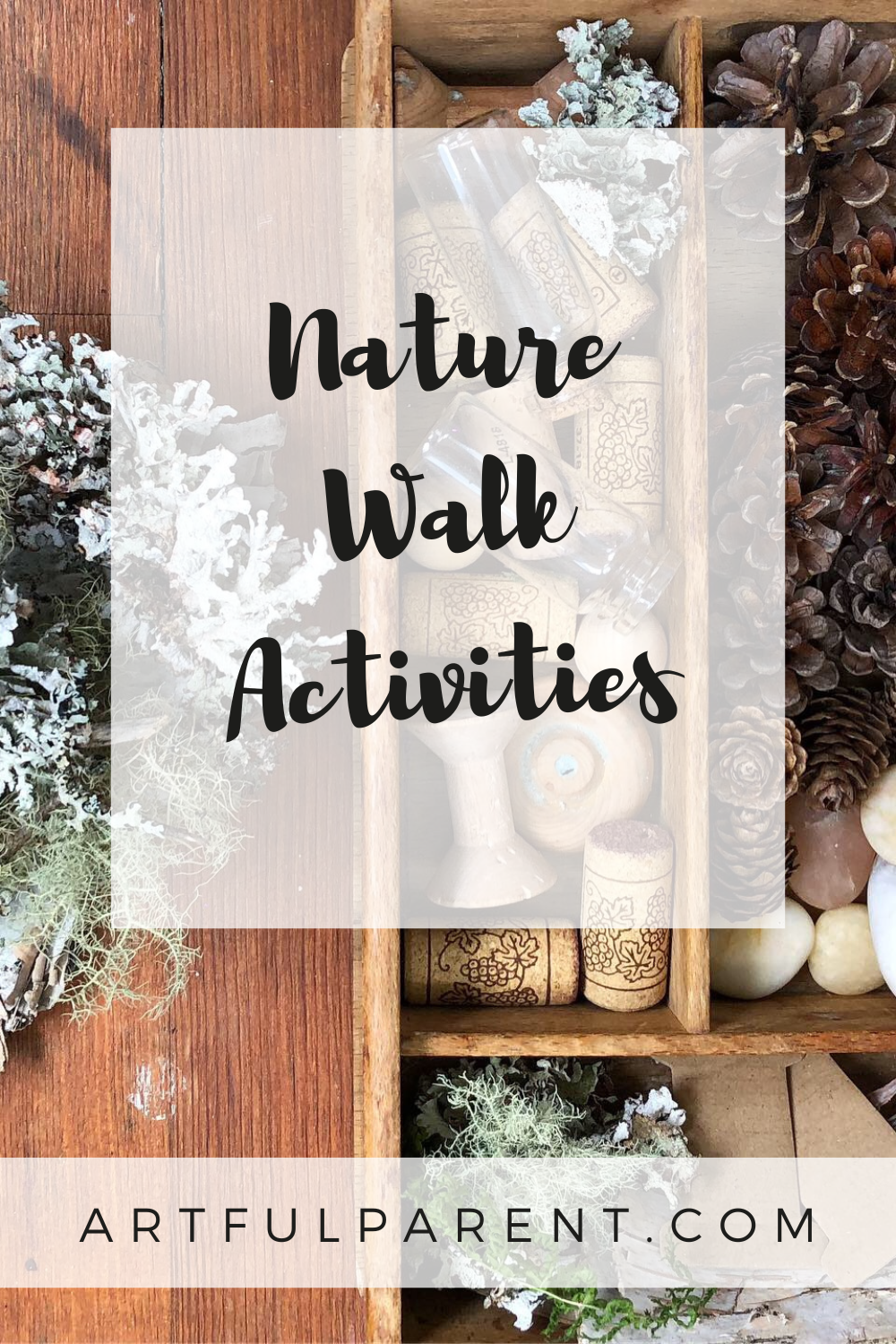 13 Nature Walk Ideas (+ FREE Scavenger Hunt Printable)