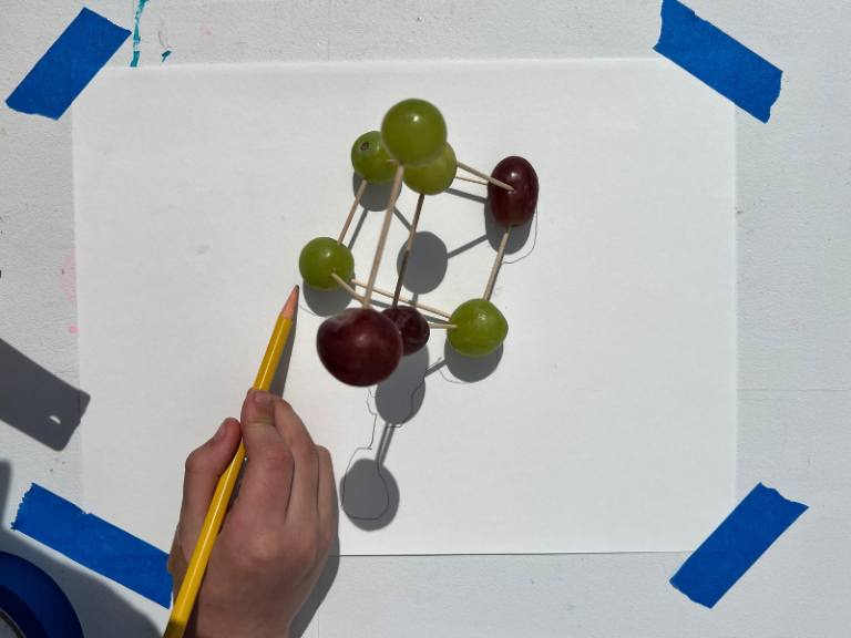 tracing grape sculpture