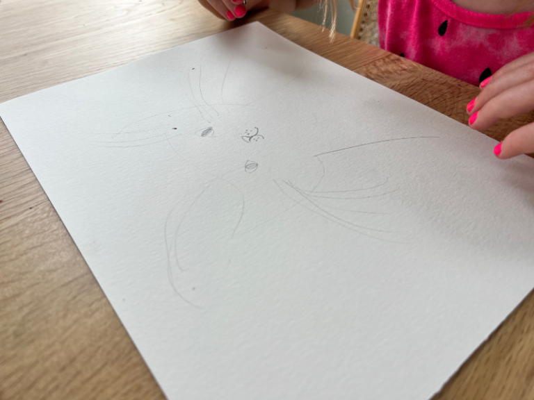 drawing a cat