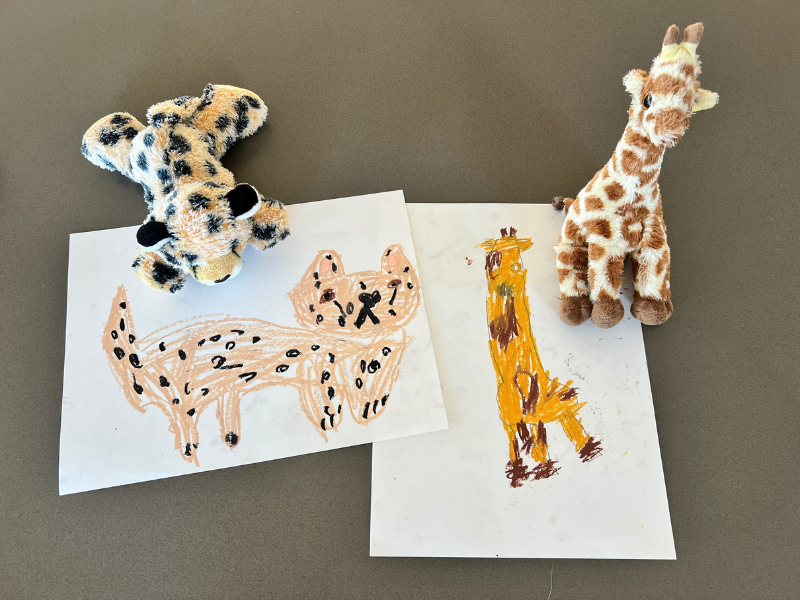 drawing stuffed animals