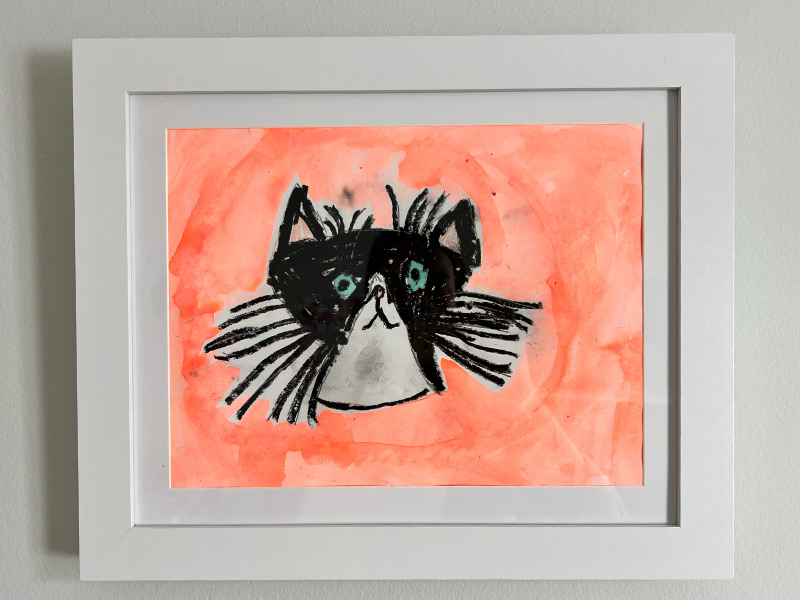 pet portrait