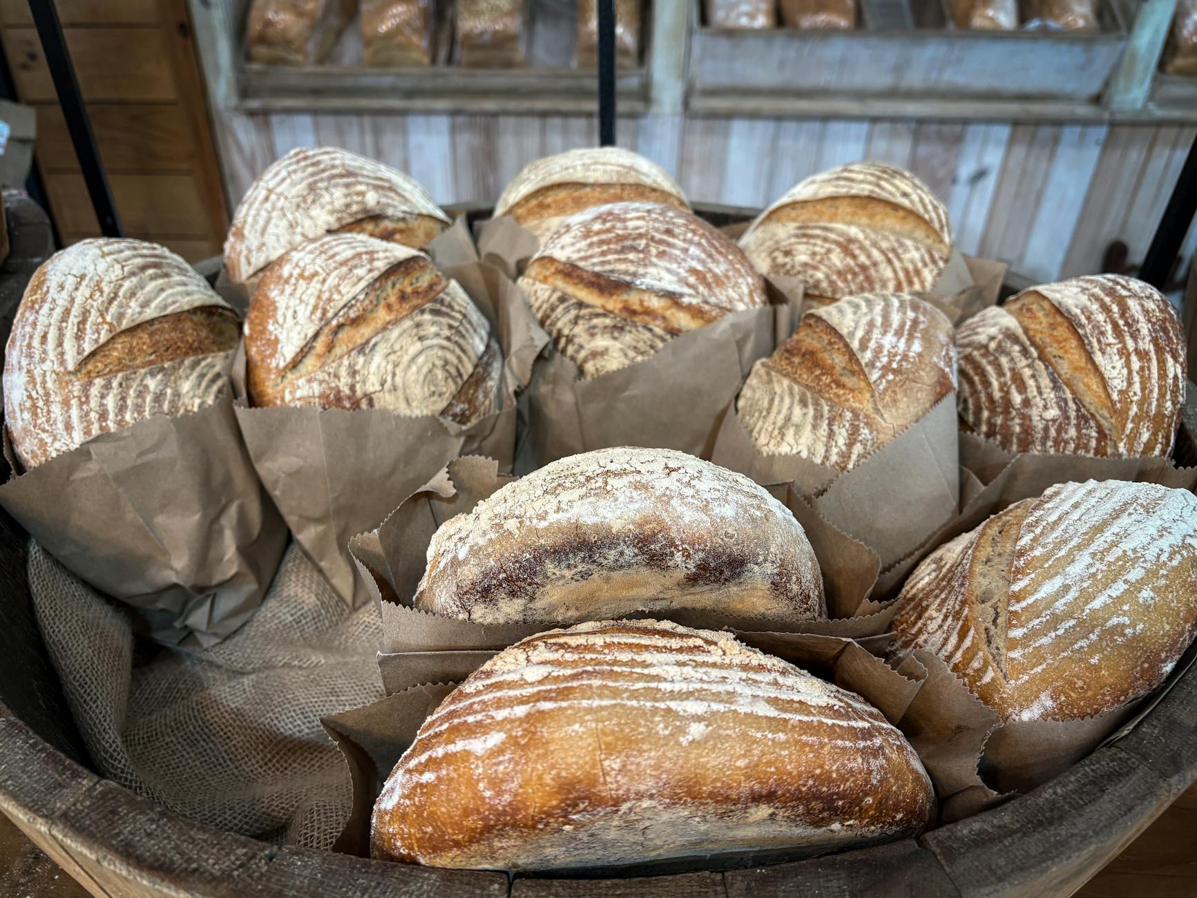 A collection of artisan sourdough loaves displayed in a rustic bakery setting.
