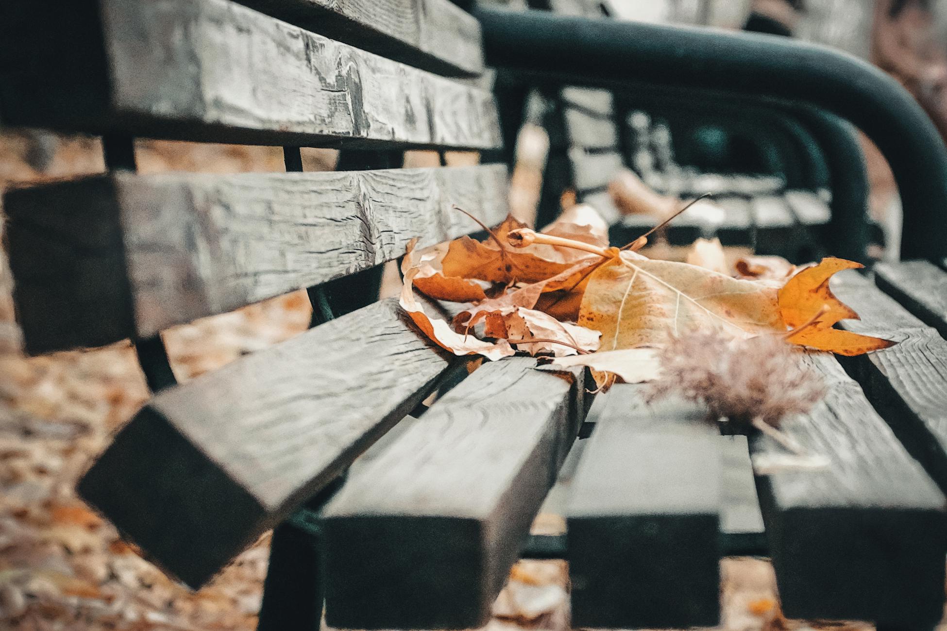 A close-up of a park bench covered with dry autumn leaves, capturing the essence of fall in Beijing.