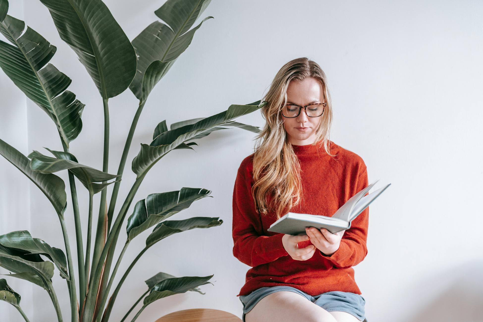 Concentrated young female student with long wavy blond hair in casual sweater and eyeglasses reading book with interest while sitting near green potted plant in light apartment