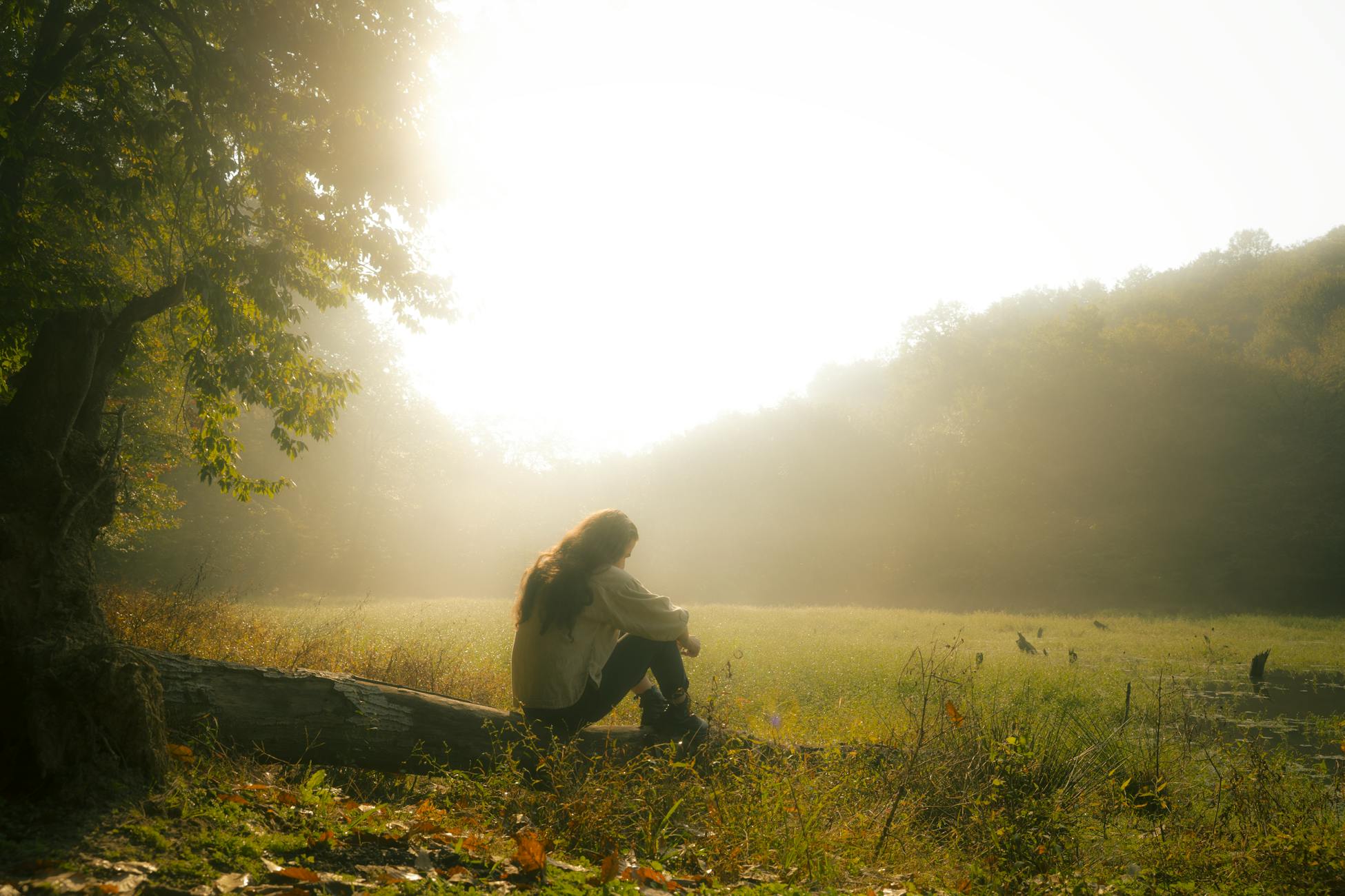 A woman sits on a fallen tree in a misty forest, bathed in warm sunlight.