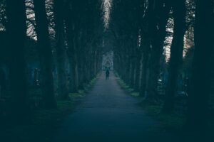A solitary figure walks down an eerie, tree-lined path in winter.