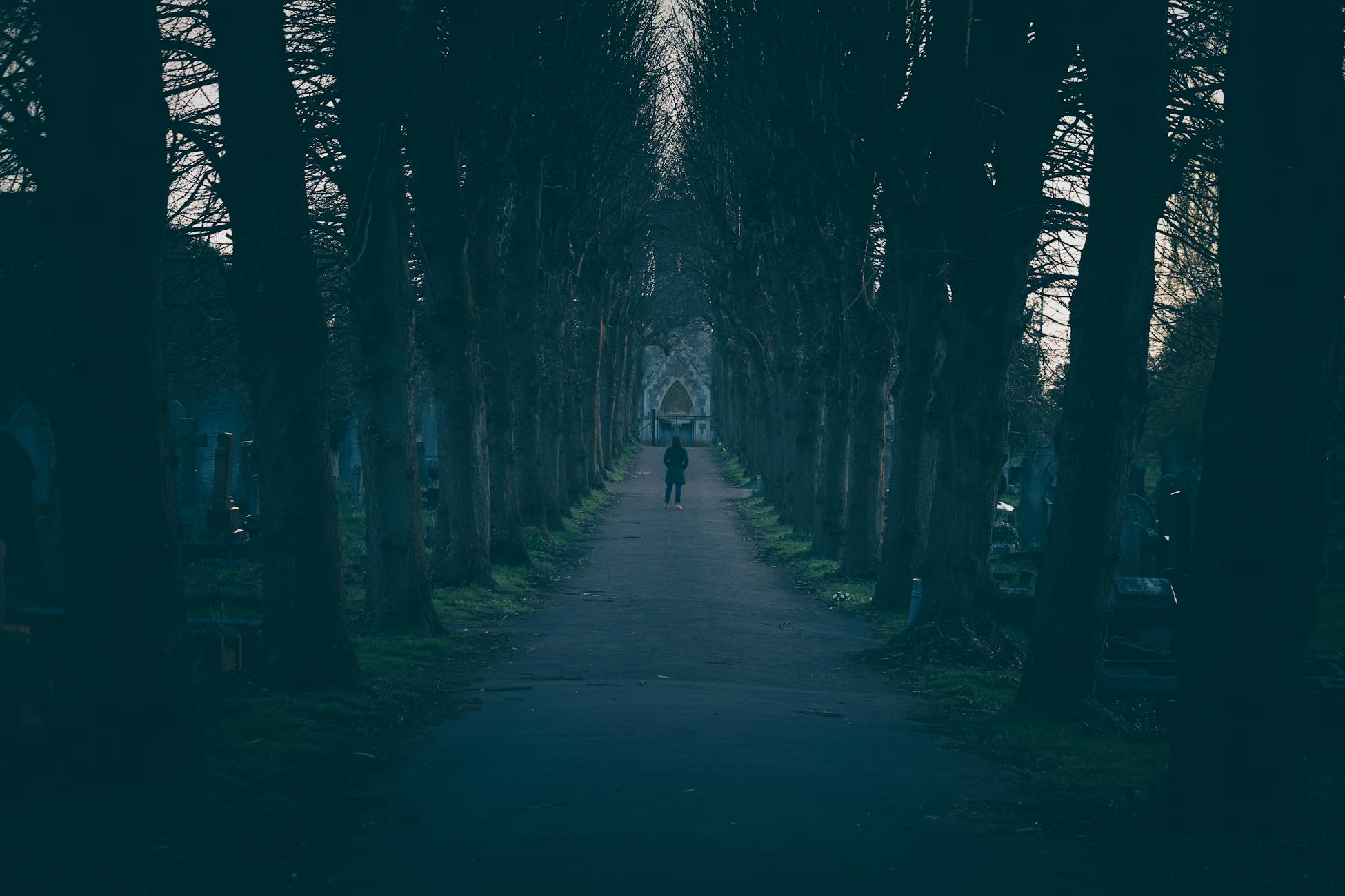 A solitary figure walks down an eerie, tree-lined path in winter.