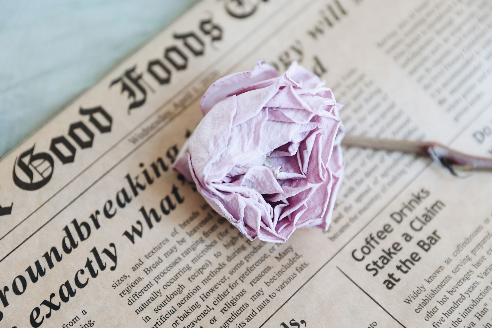 A nostalgic scene featuring a pink dried rose atop an old newspaper page, evoking a vintage feel.