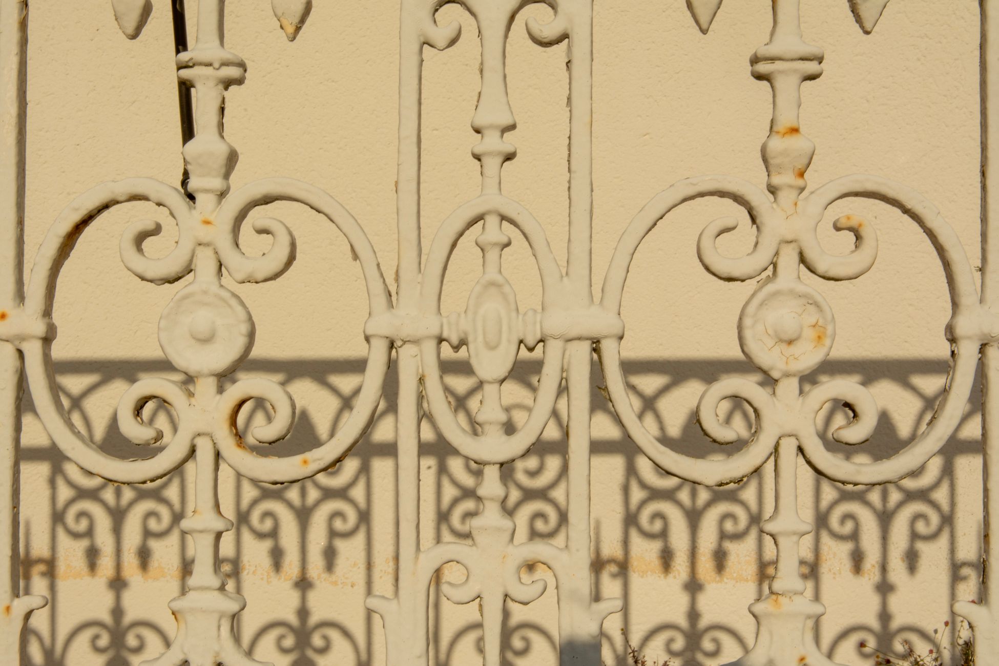 Close-up of an ornate iron fence casting detailed shadows on a wall.