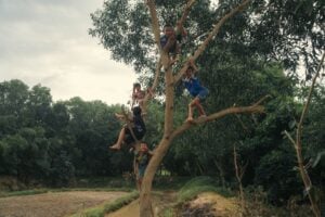 Joyful kids climbing a tree in a serene outdoor setting, showcasing childhood adventure