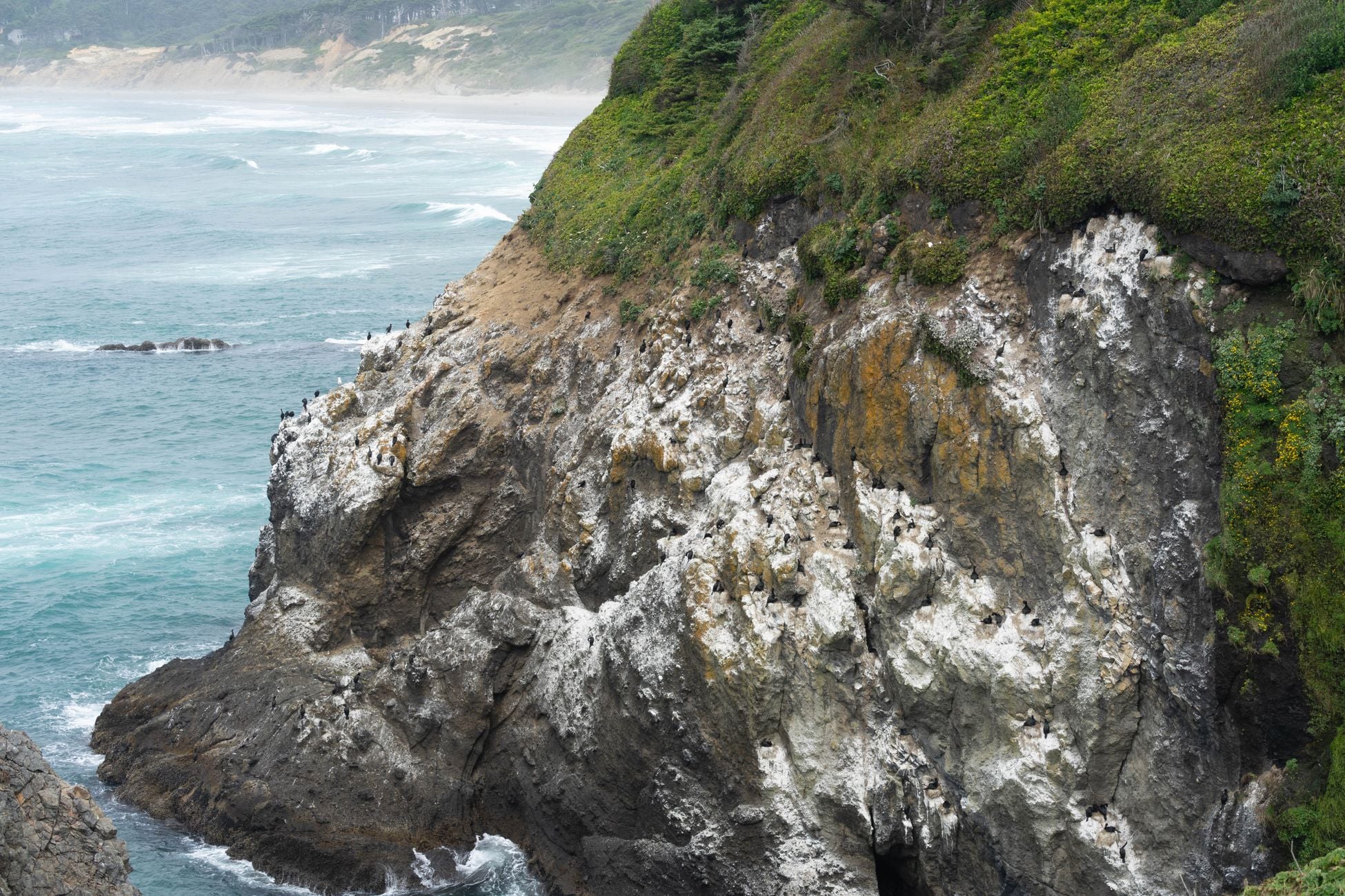 A dramatic coastal scene of Yaquina Head cliffs with ocean waves and lush greenery.
