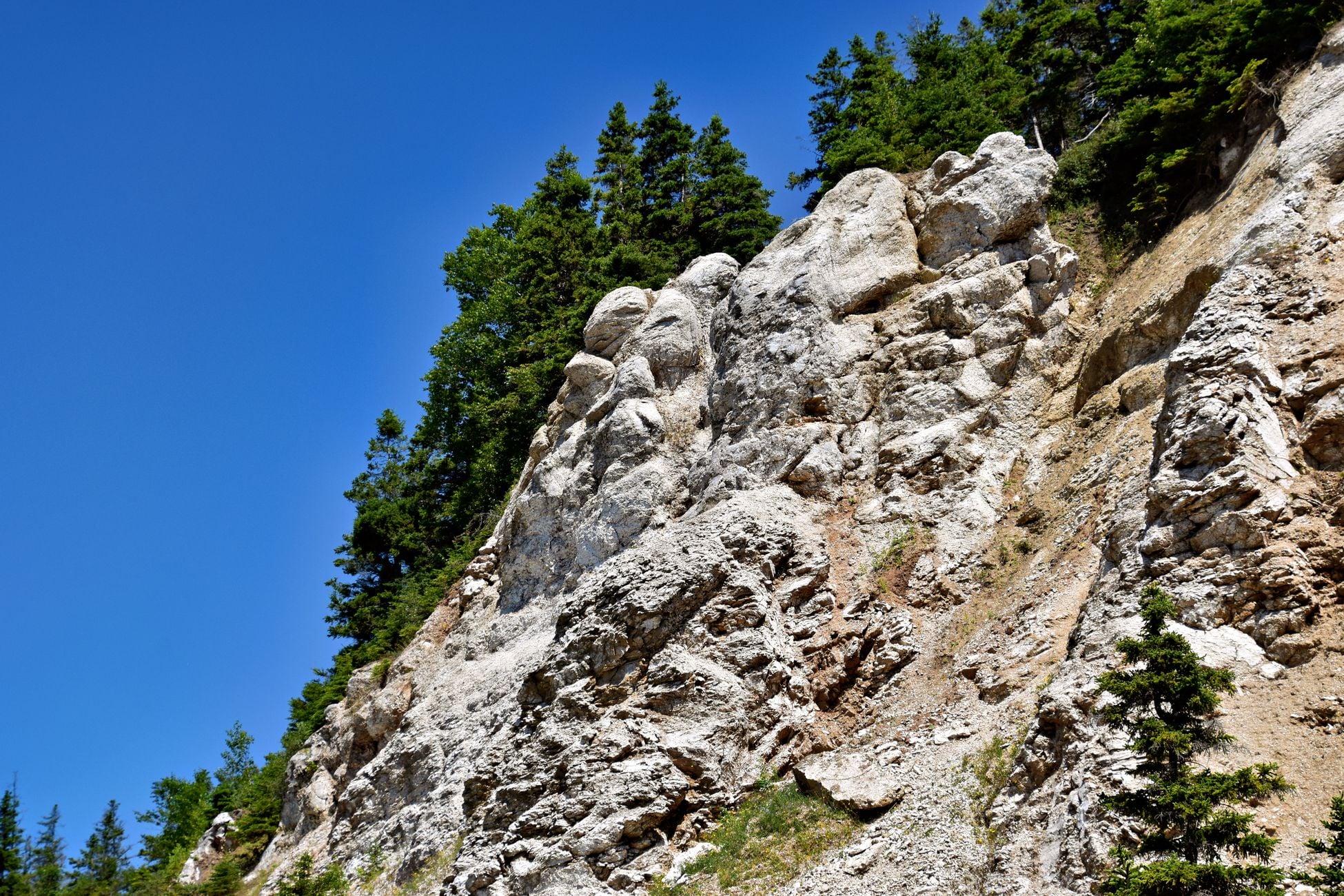 Stunning rocky cliffs with lush greenery under a clear blue sky in Nova Scotia.