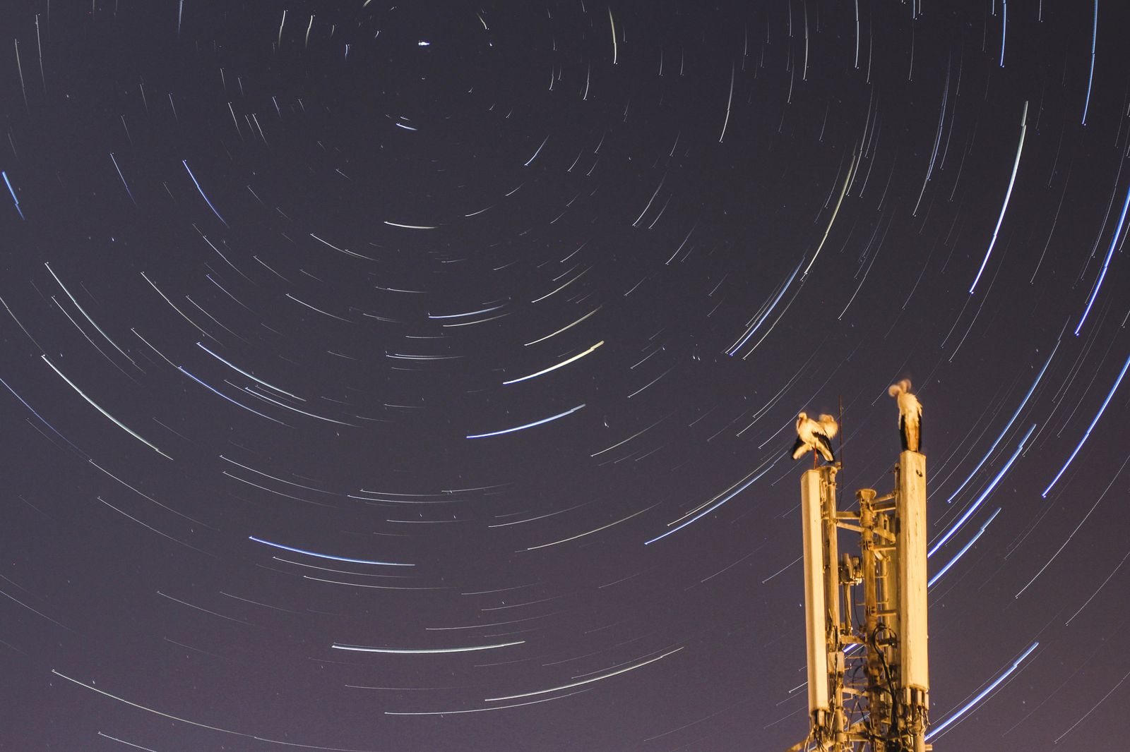 deep space network antenna
