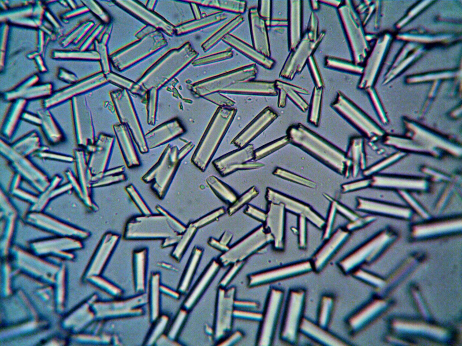 diamond anvil cell experiment