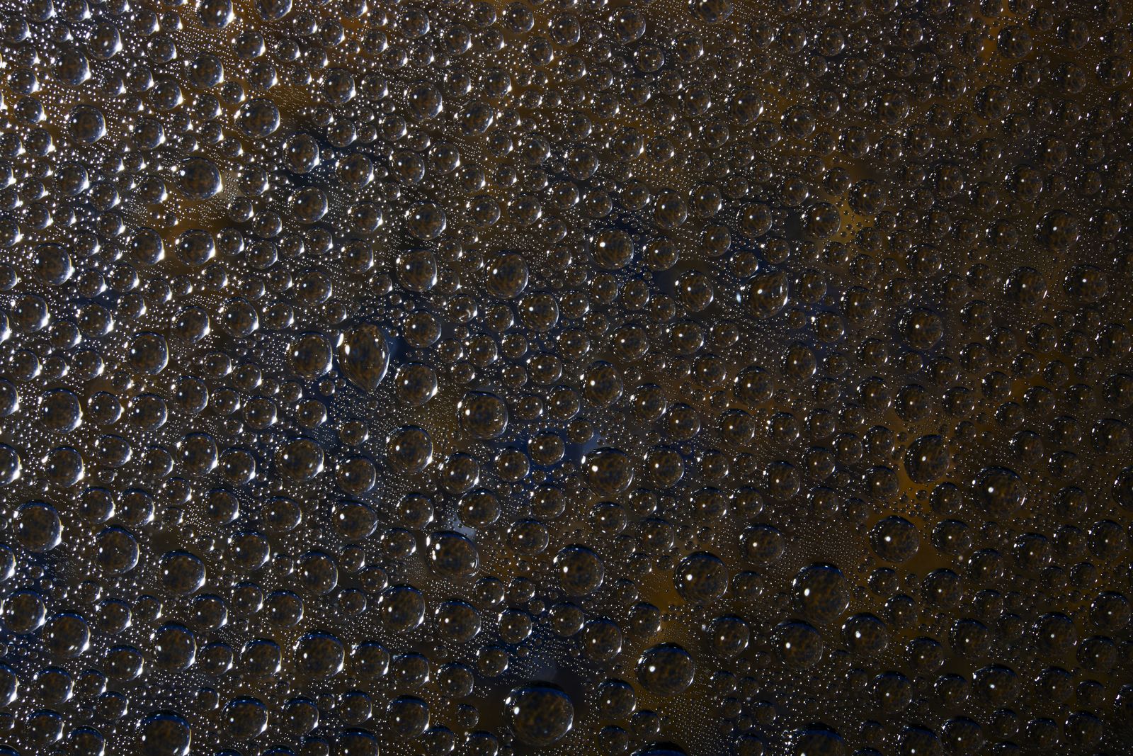 water droplets microscope